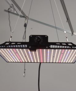 QUANTUM 120W LM301-H EVO