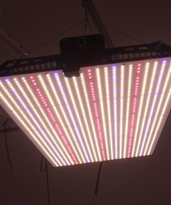 QUANTUM 240W LM301-H EVO